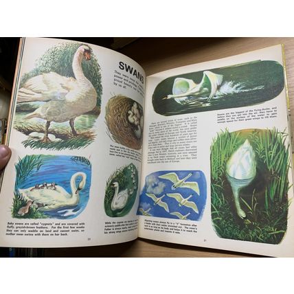 1968 "THE THIRD TREASURE BOOK OF ANIMALS" ANNUAL HARDBACK BOOK (P4)