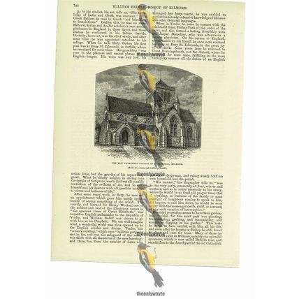 New Cathedral Church Of S Fedlimid, Kilmore, Ireland, Book Illustration, 1885