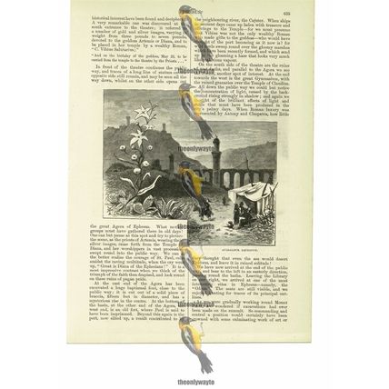 Ayasalouk Aqueduct, Ephesus, Turkey, Book Illustration (Print), 1885