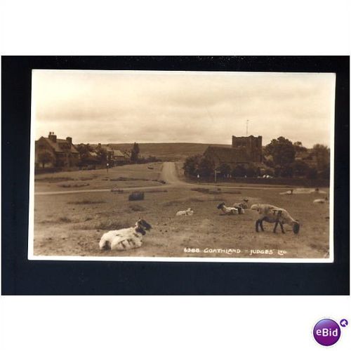 Yorkshire GOATHLAND Postcard by Judges (6388)