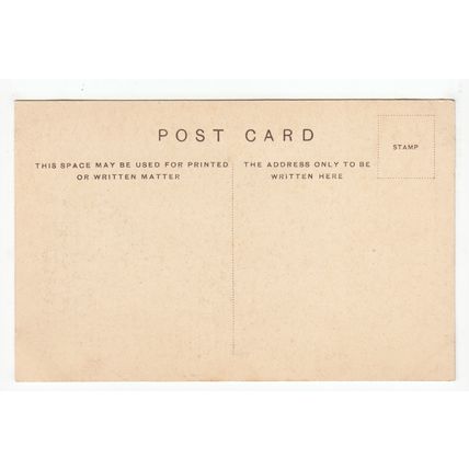 Badgers British Museum Postcard B63
