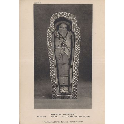 Mummy of Seshepshet Egyptian Vintage London Museum Postcard