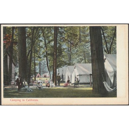 Camping in California, 1913 - Rieder Postcard