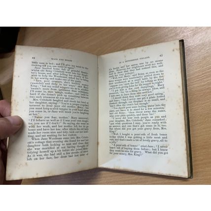 1885 WAYS AND MEANS IN A DEVONSHIRE VILLAGE CRUWYS SHARLAND FICTION HB BOOK (P2)