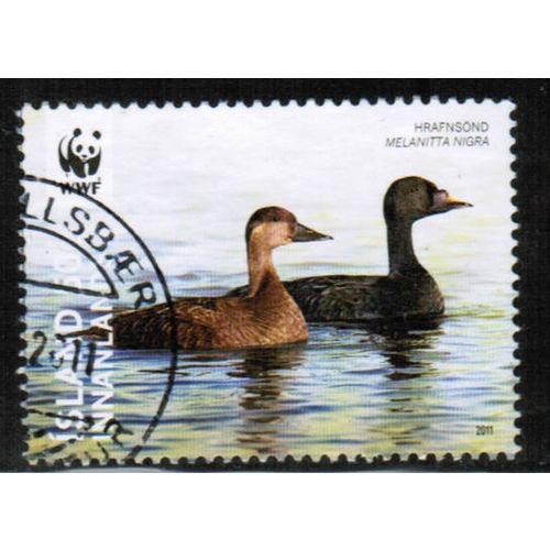 2011 Iceland Sc# 1223 used - WWF Common Scoter 50g (159 kr)