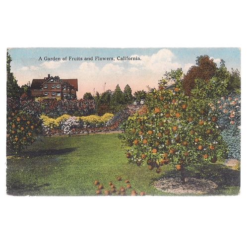 A GARDEN OF FRUITS AND FLOWERS, CALIFORNIA, USA unused postcard c.1900 /