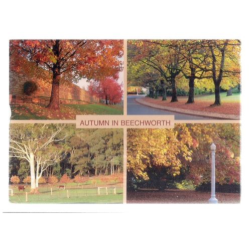 BEECHWORTH, NORTH-EAST VICTORIA, AUSTRALIA used postcard. multiview =