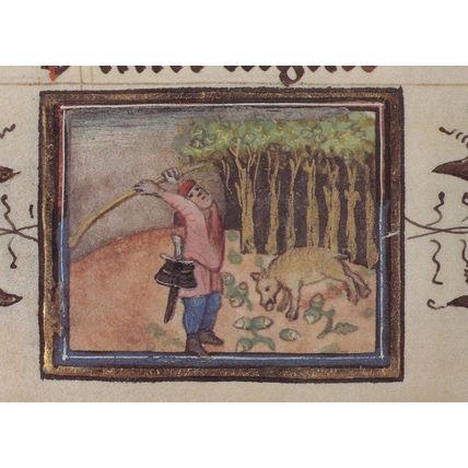 Farmer Feeding Pigs On Acorns Belgium Flemish Medieval Book Postcard