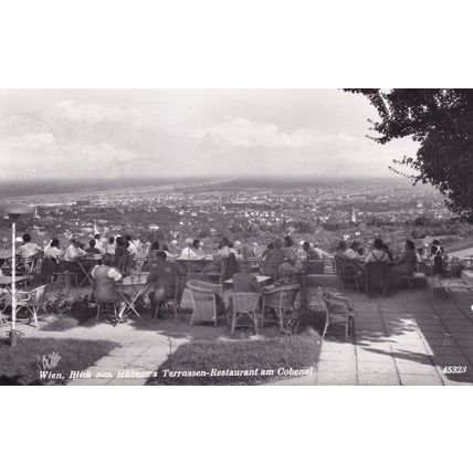 Wien Blick von Hubners Terrassen Restaurant Real Photo Postcard