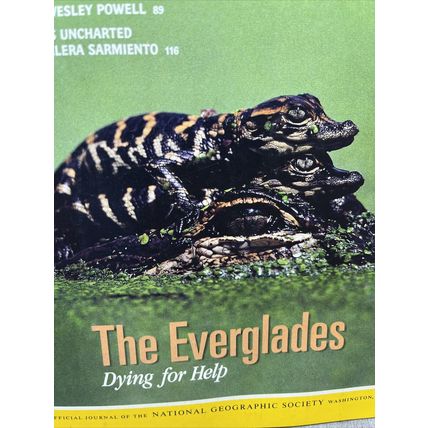 National Geographic Magazine April 1994 The Everglades - Vintage Collectable p2