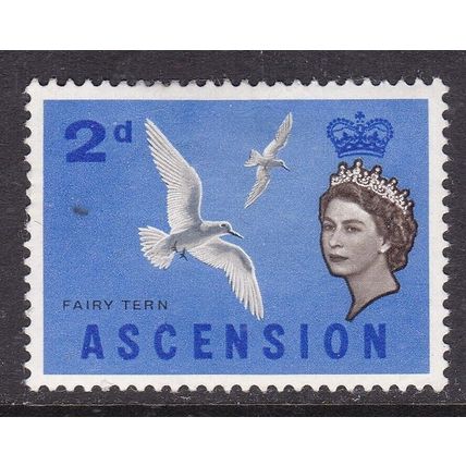Ascension 1963 Fairy Tern 2d Mint Hung SG 72 VGC