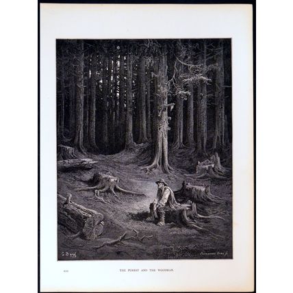 FOREST AND THE WOODMAN 1885 Gustave Doré - Pannemaker ANTIQUE ENGRAVING