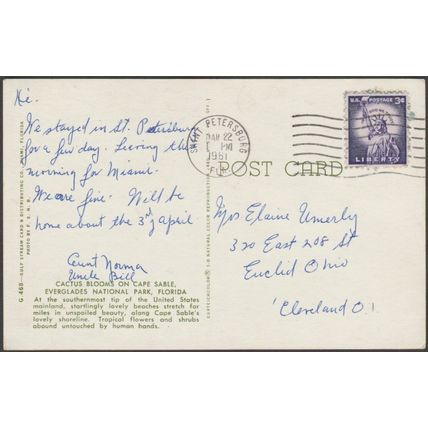 Cactus Blooms on Cape Sable, Florida, 1961 - Gulf Stream Postcard
