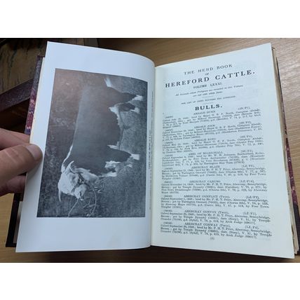 RARE* 1951 "THE HERD BOOK OF HEREFORD CATTLE" BULLS & COWS VOL 81 BOOK (P6)