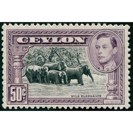 Ceylon 1946 50c black & mauve Perf 12 SG394e unused