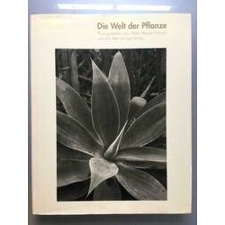 World Of Plants