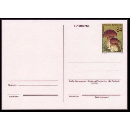 Austria Mushrooms Postcard 1989