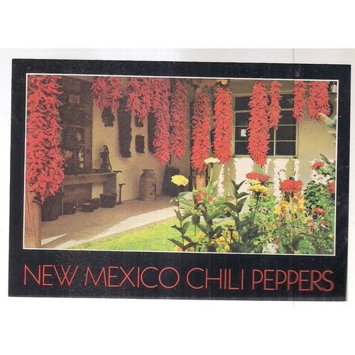 CHILI PEPPERS, New Mexico postcard c.1981 unused =