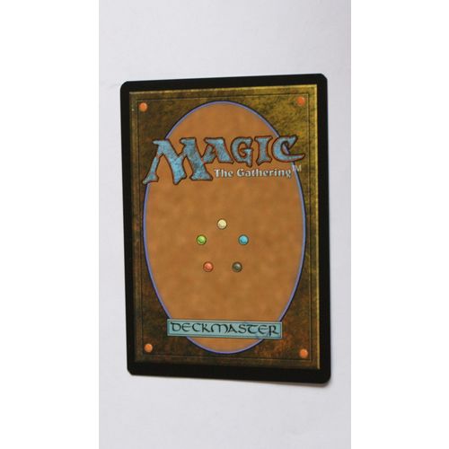 Magic the Gathering MTG CCG: Dominaria - # 266 Forest (A) 2018 WotC