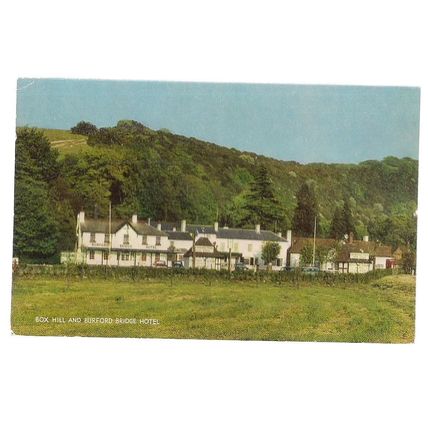 BOX HILL & BURFORD BRIDGE HOTEL, Surrey. unused vintage postcard BY j. SALMON =