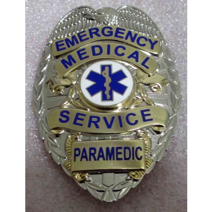 Emergency Medical Service Silver Paramedic Pin Back