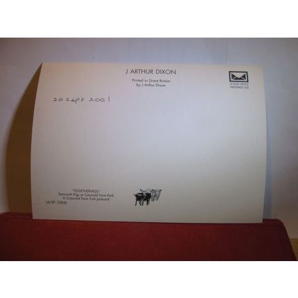 TAMWORTH PIGS, COTSWOLD FARM PARK, nr. CHELTENHAM, GLOUCESTERSHIRE postcard =