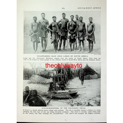Bushmen & A Kraal (Kalahari Boy & Taking Blood On Reverse), Book Illustration