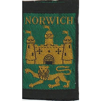 Scout Badge UK - Norwich South (Green) - Ribbon (BY19)