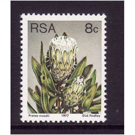 SOUTH AFRICA 1977 SG 421 8c P MUNDII U/M MINT