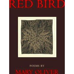 Red Bird