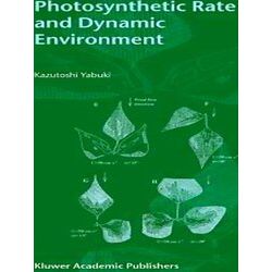 Photosynthetic Rate and Dynamic Environment
