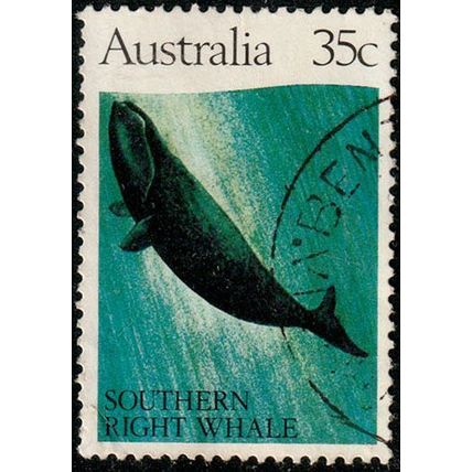Australia 1982 Whale Sperm Whale 35c Used Stamp