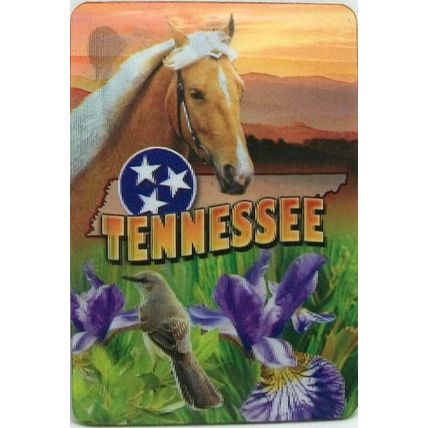 Tennessee 3D Fridge Magnet