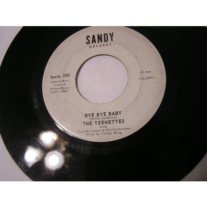 The Teenettes 45-THE ONE/BYE, BYE, BYE
