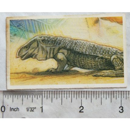 Brooke Bond Going Wild No. 17 Monitor Lizard, Wildlife Survival Challenge