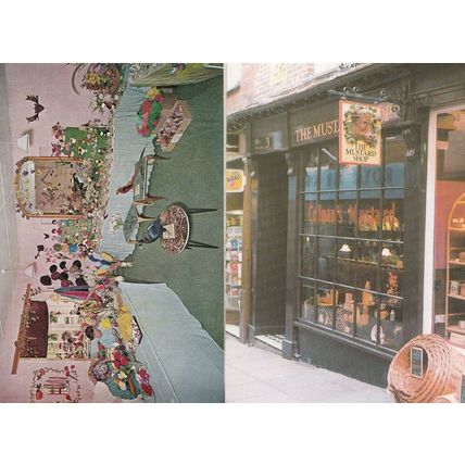Colmans Mustard Shop & Birds Feather Store Norwich Postcard