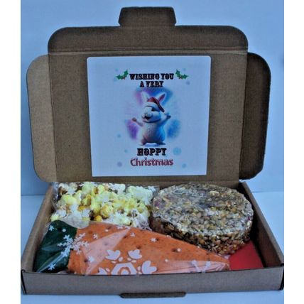 HOPPY CHRISTMAS RABBIT GIFT BOX FILLED WITH CAKE POPCORN AND BISCUITS