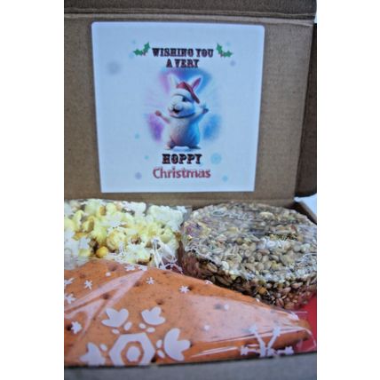 HOPPY CHRISTMAS RABBIT GIFT BOX FILLED WITH CAKE POPCORN AND BISCUITS
