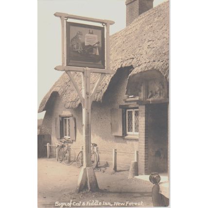 Sign Of Cat & Fiddle Inn New Forest Hampshire Postcard (QHAM179)