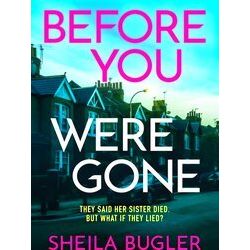 A Dee Doran Crime Thriller 3 Before You Were Gone