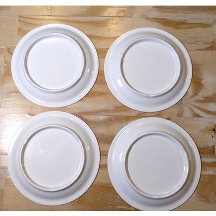 Outdoor Collection Melamine Dinner Plates Pineapple Design Set Of 4 Tropical