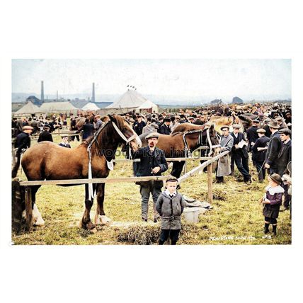 ptc5456 - Yorks - The Penistone Agricultual Show (Horses) in 1911 - print 6x4
