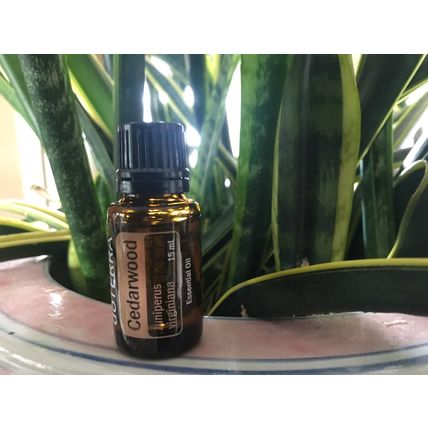 doTERRA Cedarwood 15 mL Essential Oil NEW & SEALED Exp 09/25