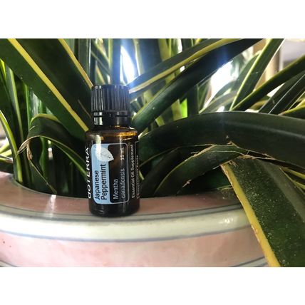 doTERRA Japanese Peppermint 15 mL Essential Oil NEW & SEALED Exp 08/26