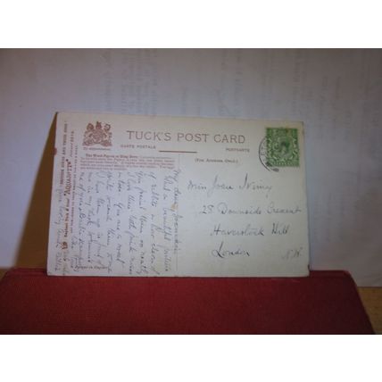 WOOD PIGEON OR RING DOVE used antique postcard birds with eggs by Tuck 1914 pm =