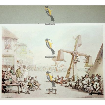 Sports At A Country Faire, Thomas Rowlandson, Book Illustration (Print), 1942