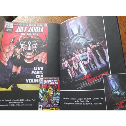 Wrestling comic book TALES FROM THE ROAD Joey Janela GCW Wrestle Crate WWE AEW
