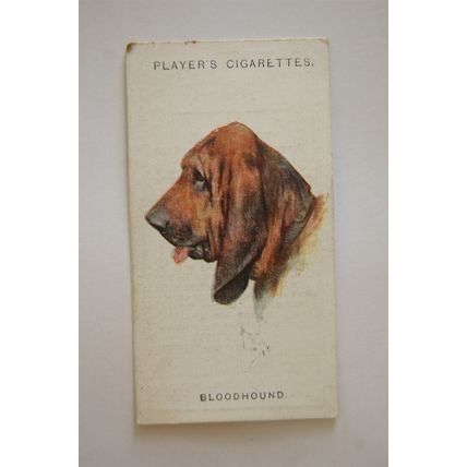 1929 John Player & Sons Dogs Heads No. 4 Bloodhound