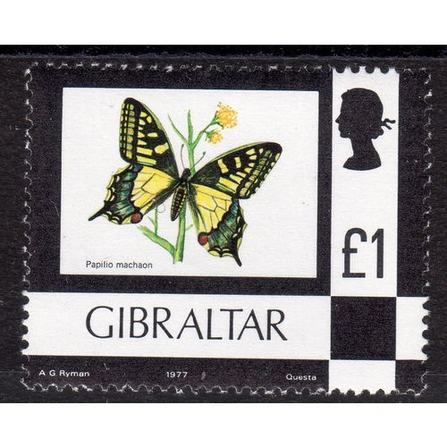 GIBRALTAR 1977 Sg388 £1 Butterfly P.O.fresh un mounted mint (G155)