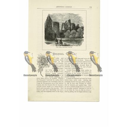 Arundel Castle Keep, Sussex, Book Illustration (Print), 1891